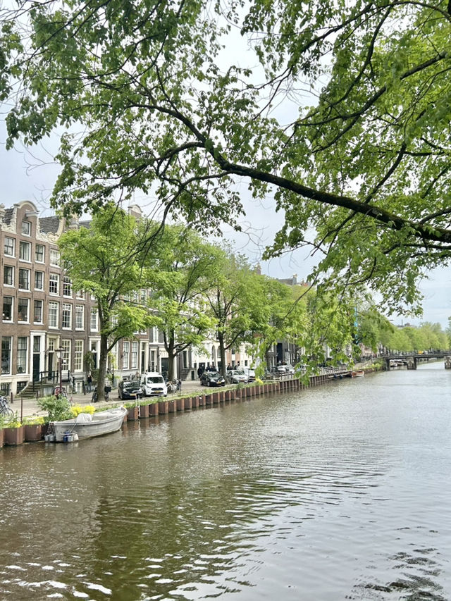 How to Explore Amsterdam in a Day