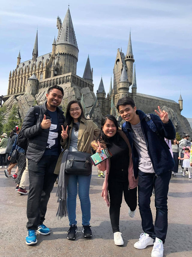 Osaka in Bloom: 2-Day Cherry Blossom Adventure & Universal Studios Magic