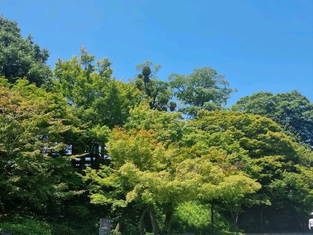 วัดเบียวโด平等院