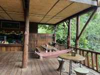 🌿 บ้านต้นไม้แม่แมะ จ.เชียงใหม่ 🌿