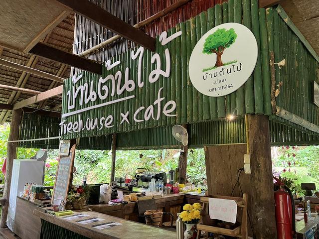🌿 บ้านต้นไม้แม่แมะ จ.เชียงใหม่ 🌿