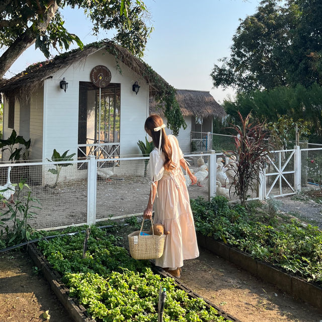 🧺ที่พักนครนายก ใครไปก็ต้องหลงรัก🫶🏻🪿🍃