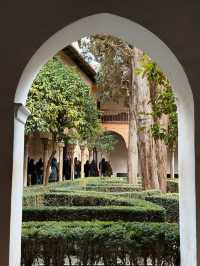A lush oasis in the backyard of the posh Nasrid Palaces
