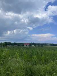 The Road to Waikuri Beach: A Drive Through Sumba’s Countryside