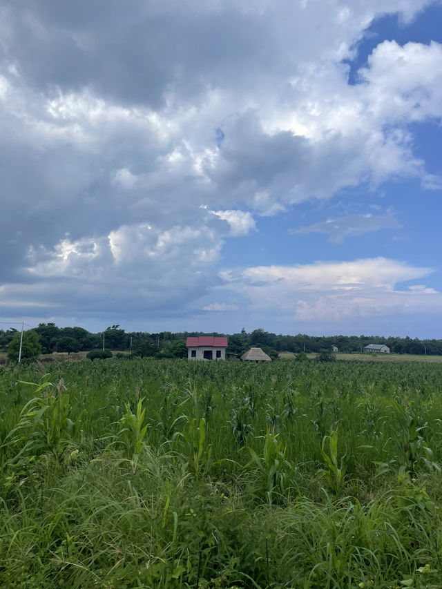 The Road to Waikuri Beach: A Drive Through Sumba’s Countryside