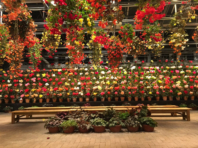 สวนดอกไม้ล้ำๆ และแสงสียามค่ำคืนอลังการ ใกล้นาโกย่า