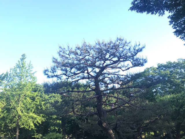 한국 민속촌, 한국 옛날의 느낌을 간직하고 있는 곳
