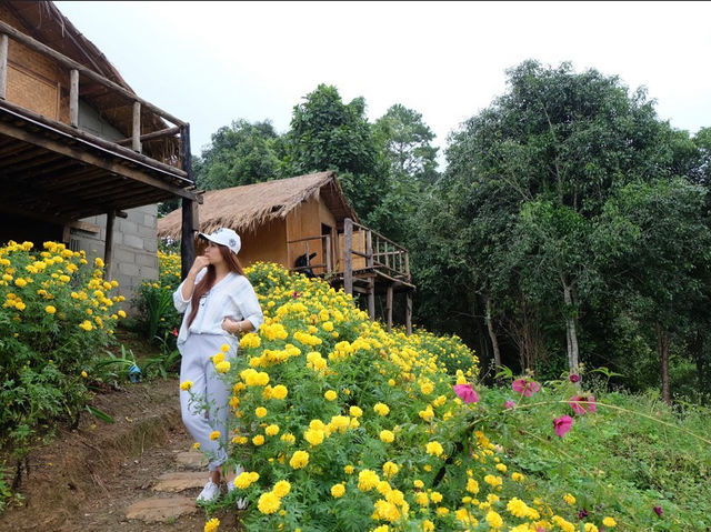 ไปให้ภูเขาโอบกอดที่ เชียงดาว 🌿🌳
