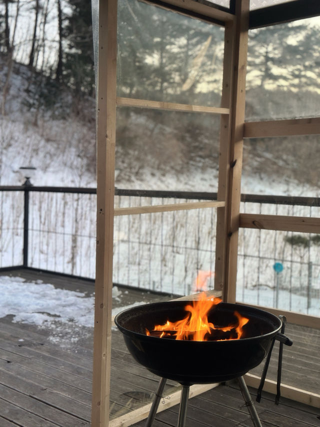강아지와 함께 겨울 여행은 평창으로 가세요❄️