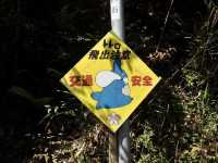 【滋賀県】トトロ-----な街