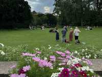 The beautiful York Museum Gardens