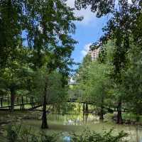 碧湖公園：在“城市綠洲裡尋找孩子的歡笑” 🌊🌳