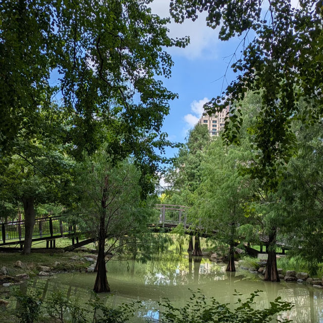碧湖公園：在“城市綠洲裡尋找孩子的歡笑” 🌊🌳