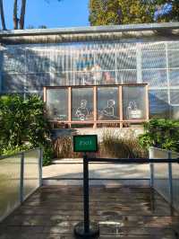 A Hidden Green Escape – The Glasshopper Café