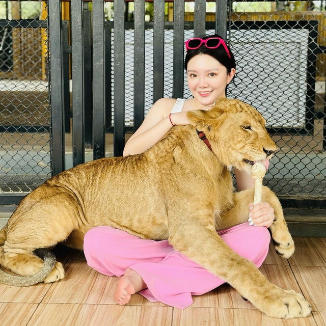 泰國🇹🇭🇹🇭一定要來的動物園！