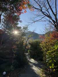 🍁由布院♨️