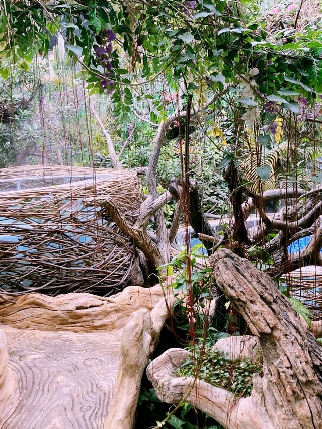  Zhangjiajie Adventure and beautiful Hot springs 