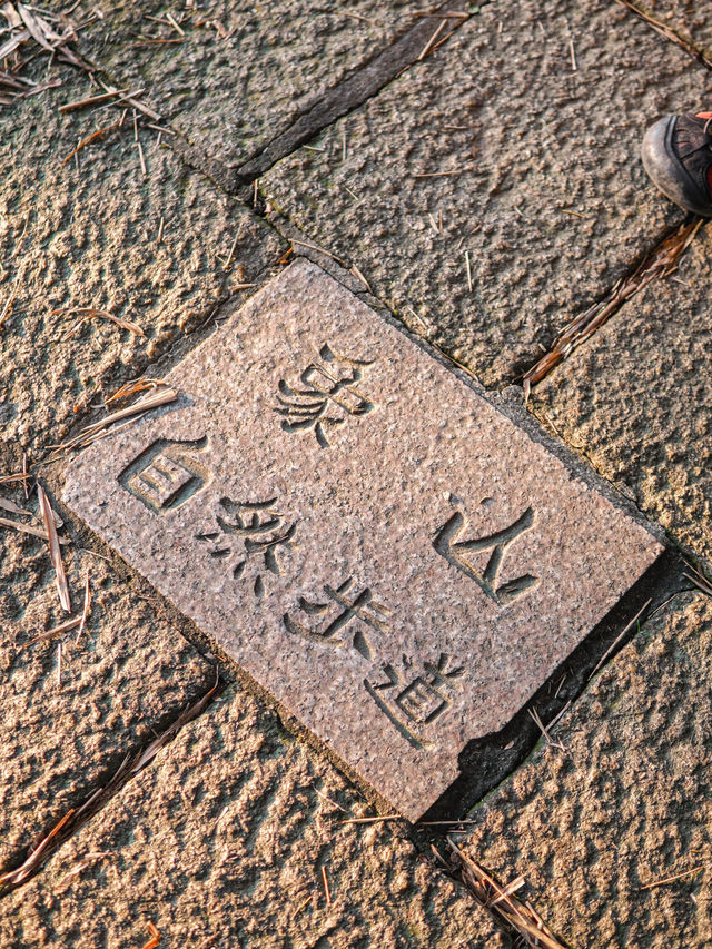 📍 台北象山步道｜觀看101的最佳景觀台