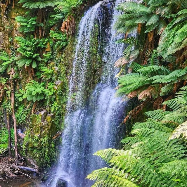 Great Otway National Park