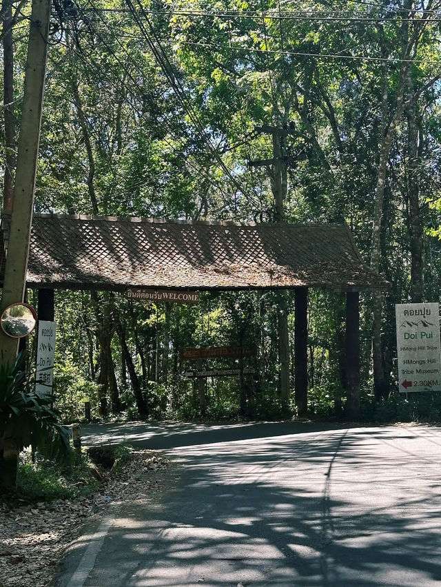 Doi Suthep-Pui National Park