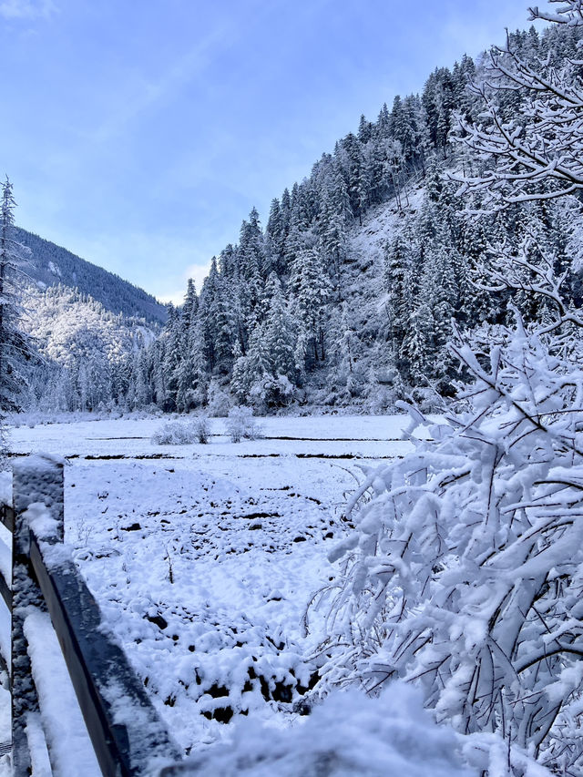 Escape into winter wonderland in China❄️