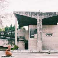 モダン都市チャンディーガルの歴史を学ぶ📐