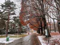 Maruyama Park