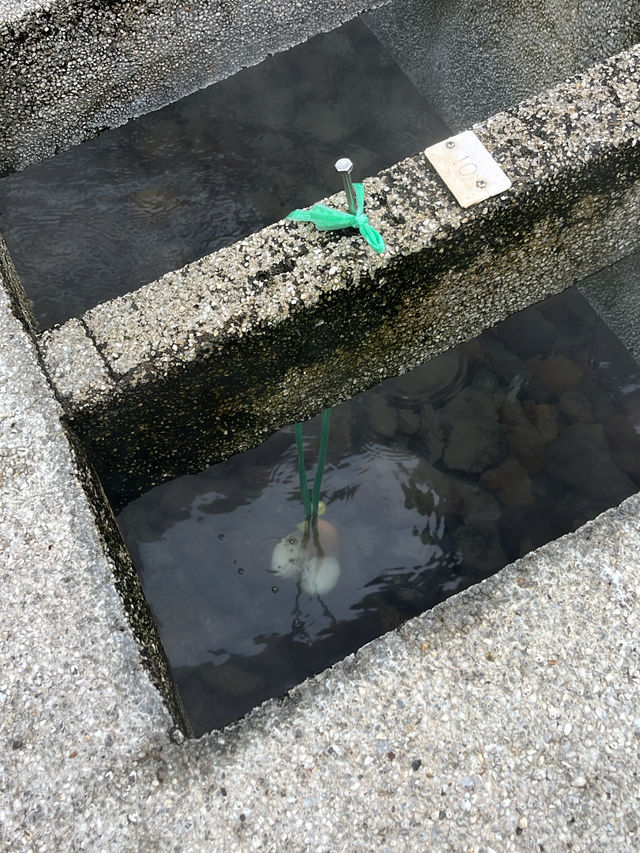 【湯村温泉】のんびり旅
