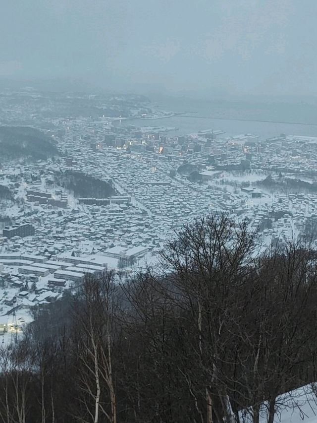 小樽春雪~天狗山觀景台及天狗山神社