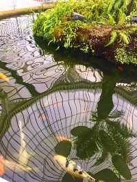 Glasgow Botanic Gardens: A Lush, Free Oasis in the City