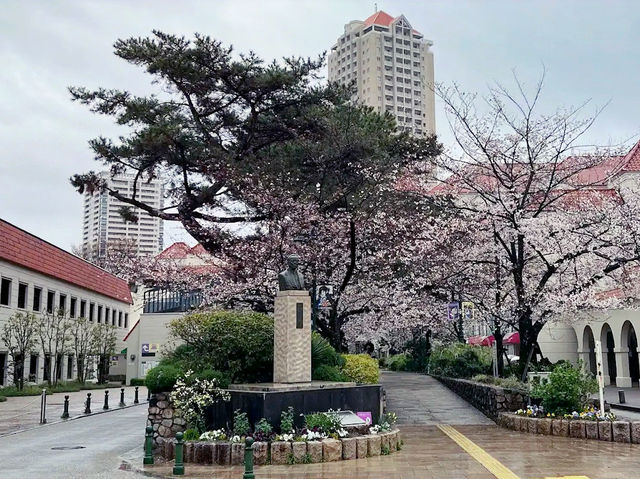 🌸 **寶塚櫻花之道遊覽櫻花觀賞分享** 🌸