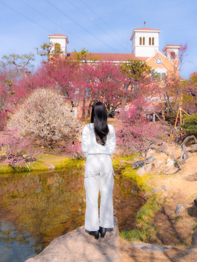 지금 만개에 이르러 제일 이쁠 때..🌸💖