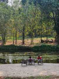 ธรรมชาติ คาเฟ่ | สวนผึ้ง ราชบุรี