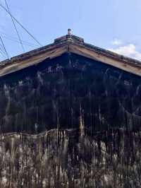 北埔老街巡禮及屢吃不膩的客家特色料理喜相逢