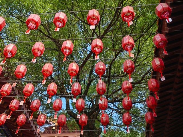 A Tranquil Escape: Discovering Hong Yuan Si Buddhist Temple in Shenzhen