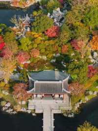 best attraction for china transit in shanghai