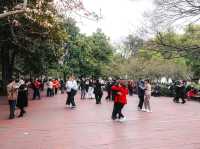 “Hangzhou 1 day trip”