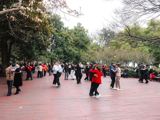 “Hangzhou 1 day trip”