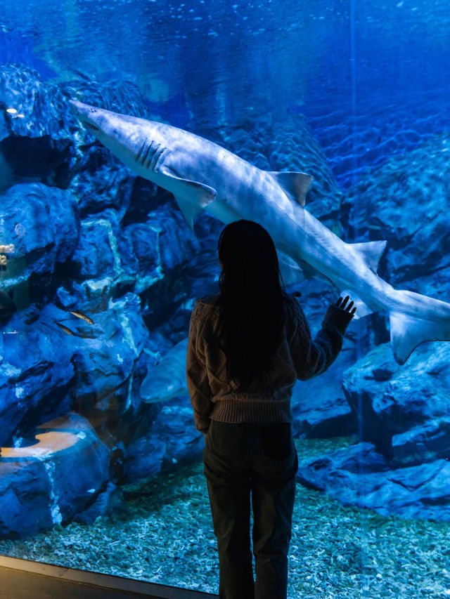신비스러운 물속 데이트코스..🐠🐟💕