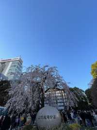 【東京】文化と自然を感じる賑やかな街・上野