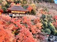 Discovering the Magic of Kiyomizu-dera ✨ | Kyoto’s Must-Visit Spot for Every Young Explorer