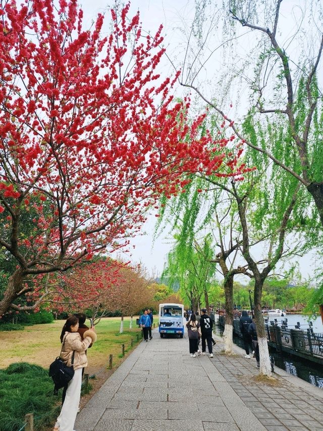 แพลนเที่ยวหางโจว 1 Day Trip