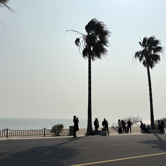 ## 🌊 廈門必打卡！「一國兩制沙灘」：站在這裡，眺望金門！🏖️
