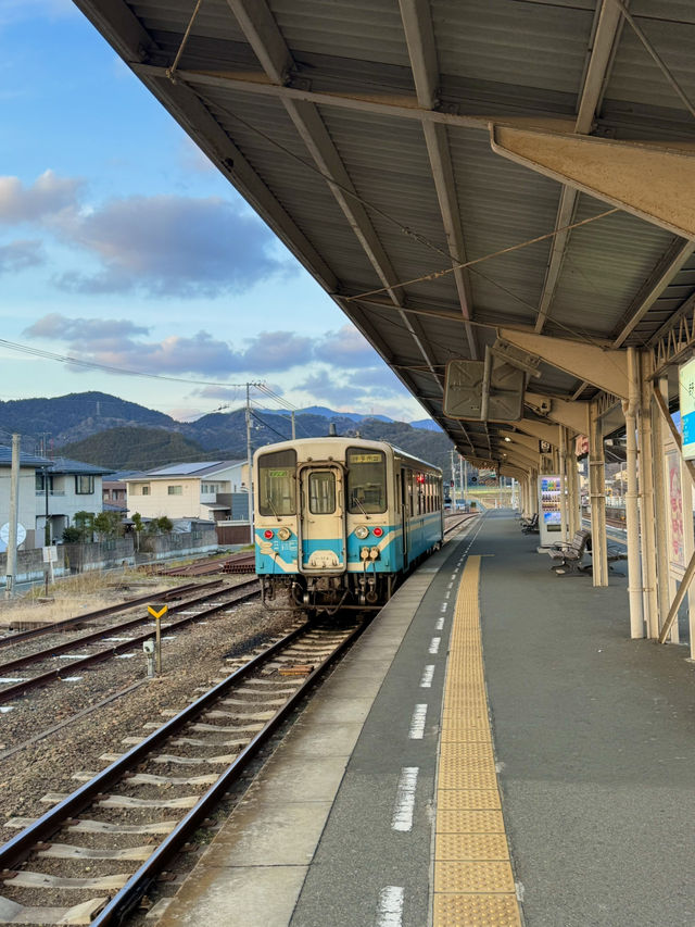 레트로 감성의 숨은 명소 이요오즈역 🚉 마쓰야마 근교 여행