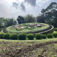 【陽明山国家公園｜花時計】静けさと彩りに包まれた午後 