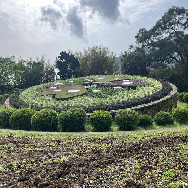 【陽明山国家公園｜花時計】静けさと彩りに包まれた午後 