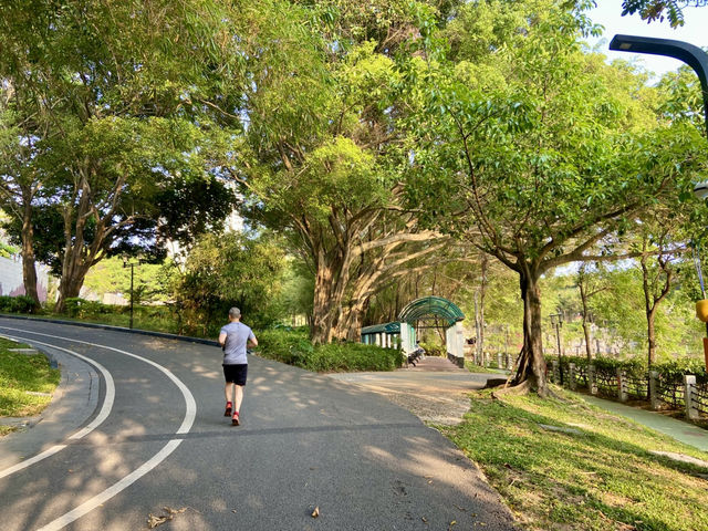 ✨探索城市中的美麗繽紛世界✨中山公園 