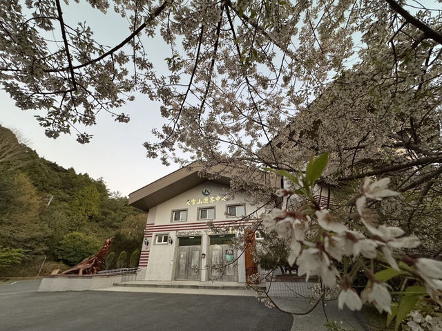 大雪山森林遊樂區