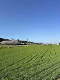 Kyushu amazing views