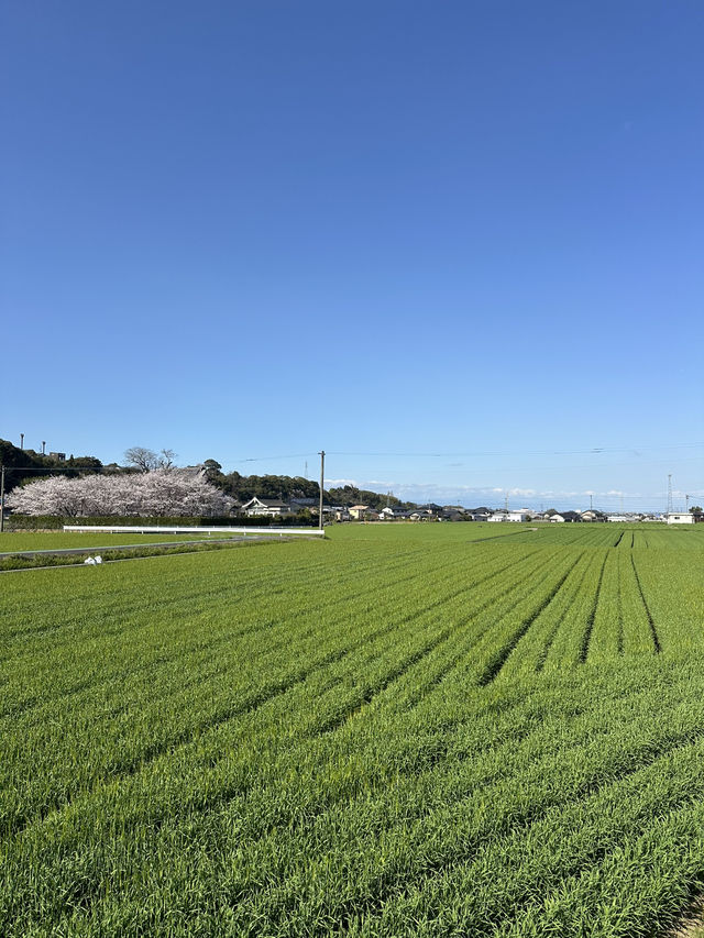 Kyushu amazing views